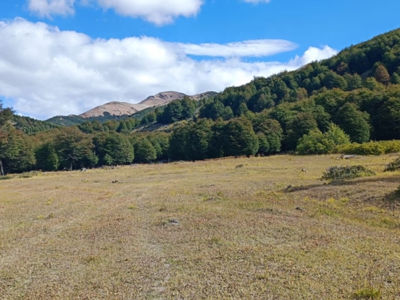 Camino Cerro Castillo | 3 ha colindan con PN Cerro Castillo