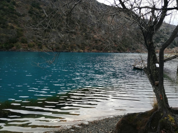 Lago Bertrand | 9.525 m2 vista al Lago