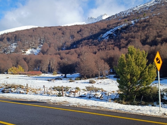 Camino Cerro Castillo | 3 ha colindan con PN Cerro Castillo