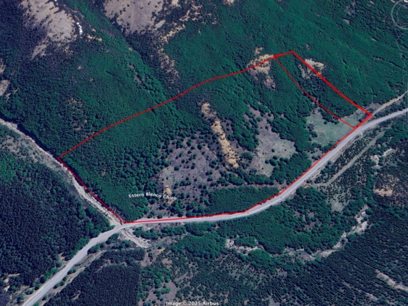 Camino Cerro Castillo | 3 ha colindan con PN Cerro Castillo