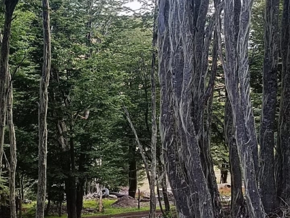 Coyhaique  | 5.000 m² en La Cordona