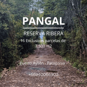 Puerto Aysén | 7.500 m2, en Pangal Reserva Ribera