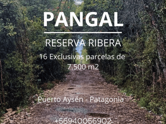 Puerto Aysén | 7.500 m2, en Pangal Reserva Ribera