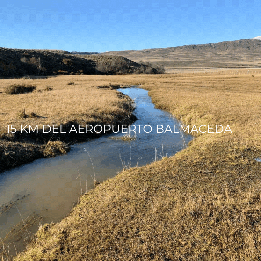 CAMPO PORTEZUELO