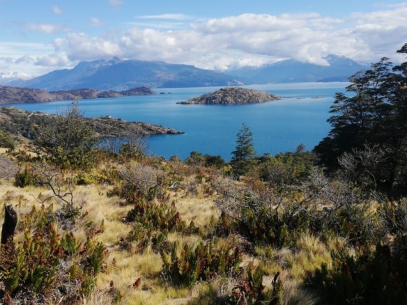 Mirador General Carrera – Orilla de Lago