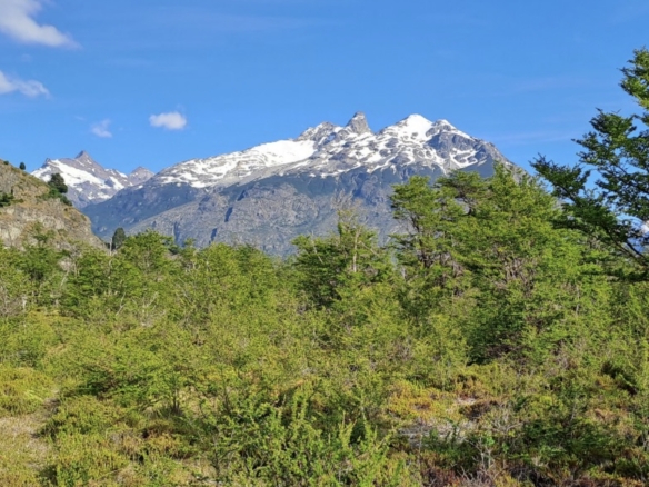 Valle Leones