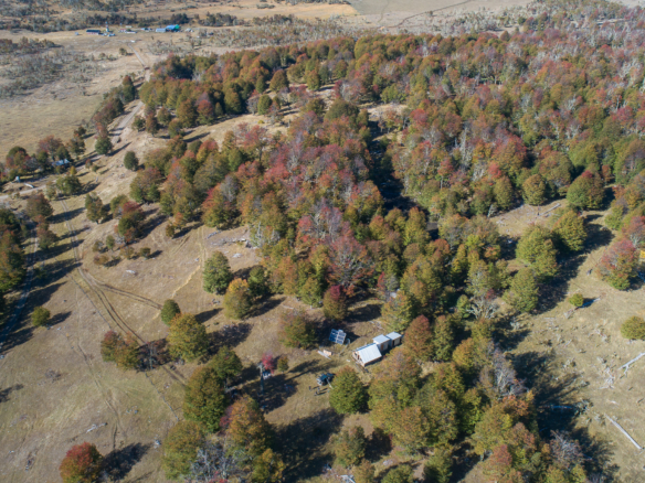 Mallin Grande | Puerto Guadal – 8,8 ha