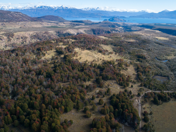 Mallin Grande | Puerto Guadal – 8,8 ha