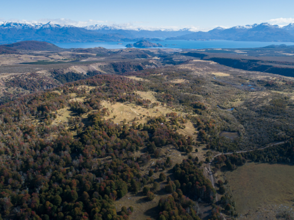 Mallin Grande | Puerto Guadal – 8,8 ha