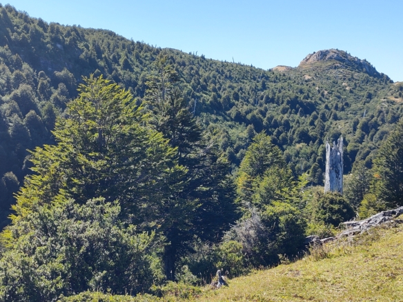 Coyhaique | 40 hectáreas cercanas a Lago Atravesado – Lago Barroso
