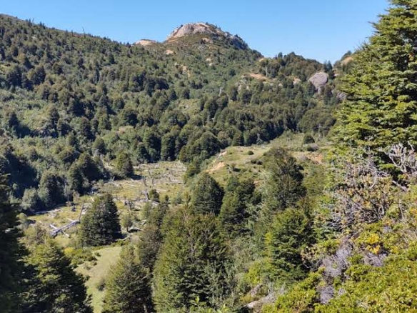 Coyhaique | 40 hectáreas cercanas a Lago Atravesado – Lago Barroso