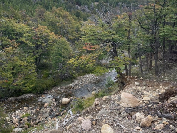 Coyhaique | Campo de 50 hectáreas a 32 km de Coyhaique