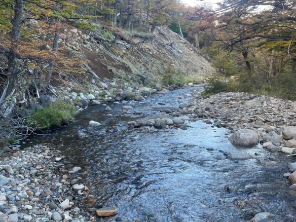 Coyhaique | Campo de 50 hectáreas a 32 km de Coyhaique