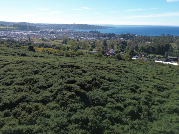 Puerto Varas con vista al Lago Llanquihue