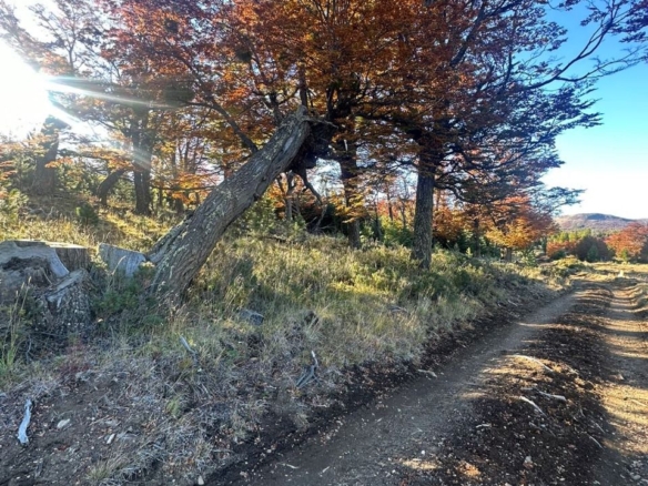 Coyhaique | Campo de 50 hectáreas a 32 km de Coyhaique