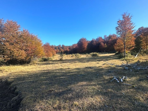 Coyhaique | Campo de 50 hectáreas a 32 km de Coyhaique