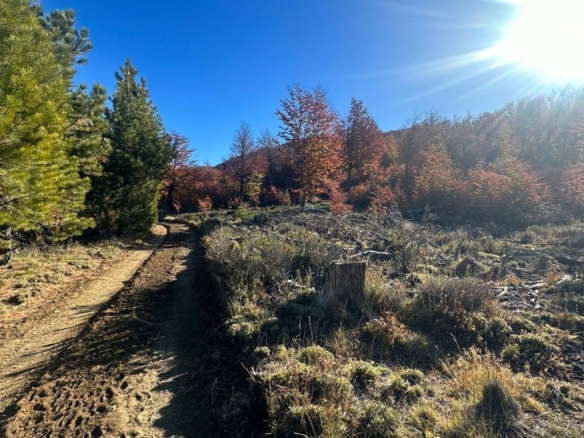 Coyhaique | Campo de 50 hectáreas a 32 km de Coyhaique