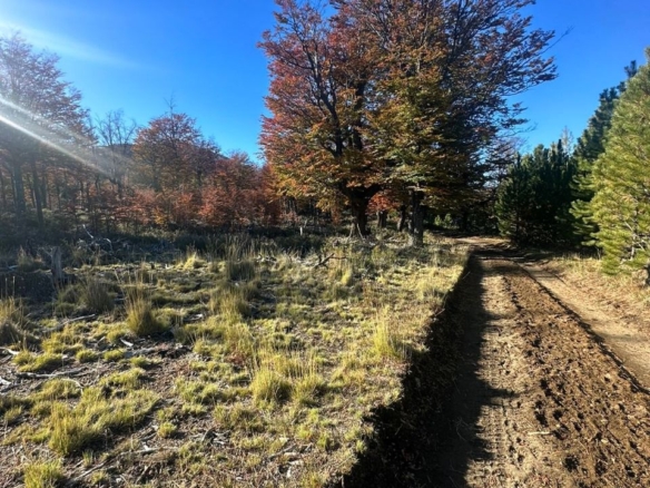 Coyhaique | Campo de 50 hectáreas a 32 km de Coyhaique