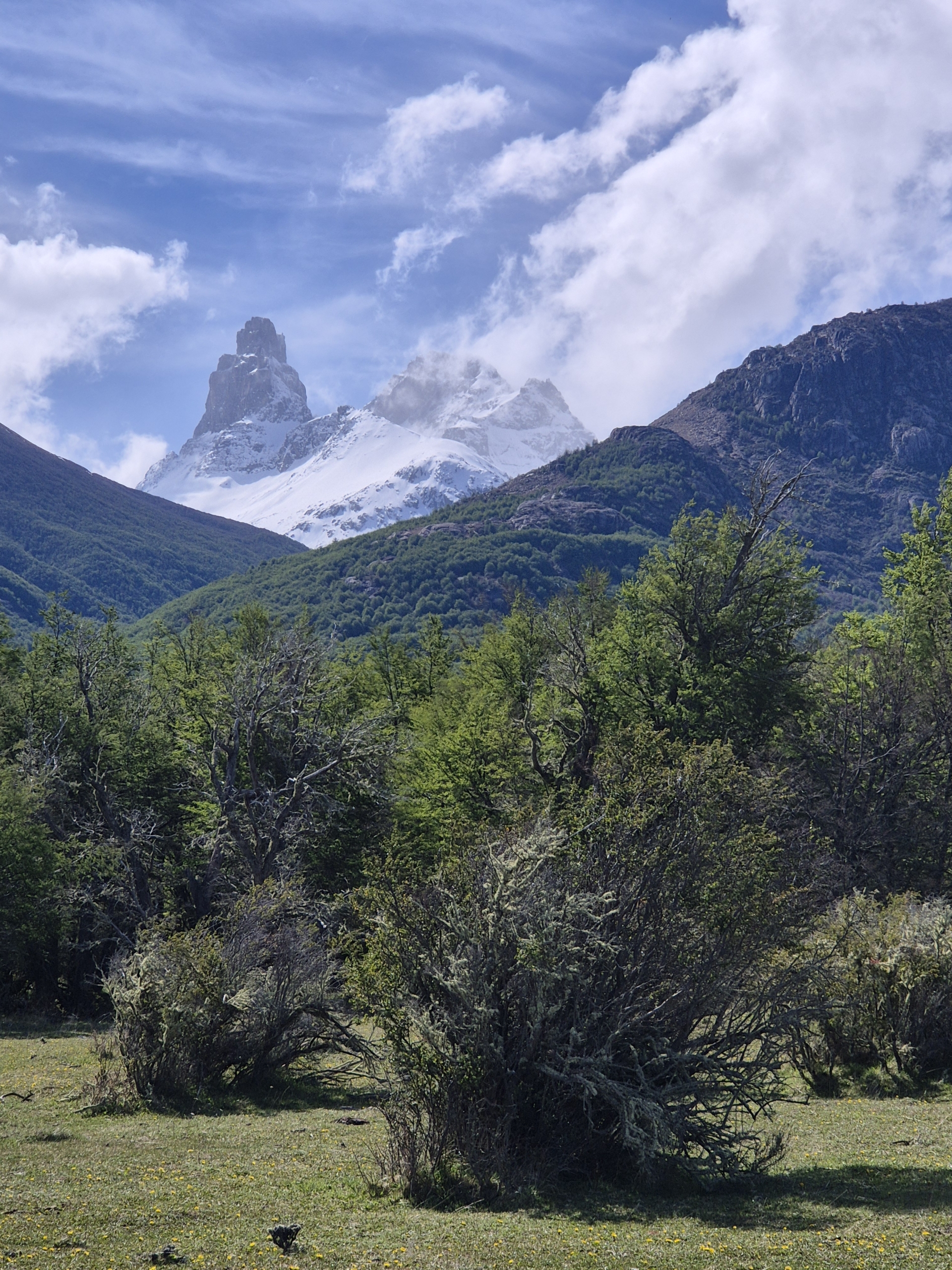 Cerro Castillo | Parcelas en la Base de Cerro Castillo