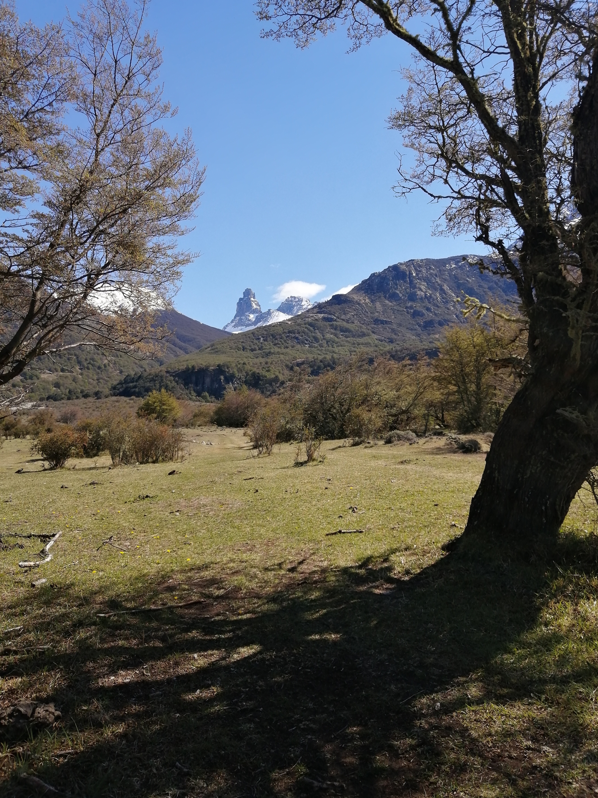 Cerro Castillo | Parcelas en la Base de Cerro Castillo