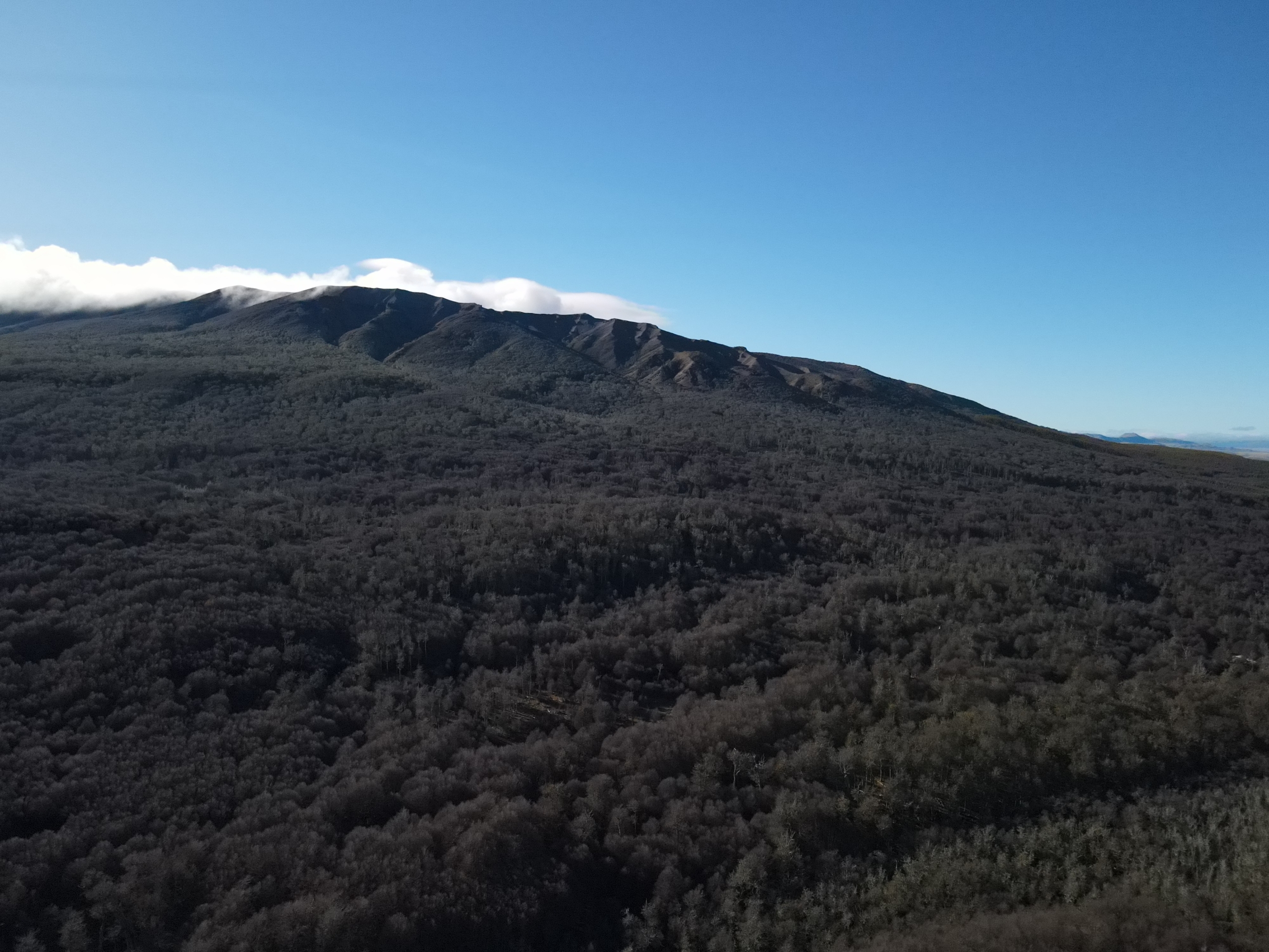Coyhaique | Campo de 262 ha Cerro Galera