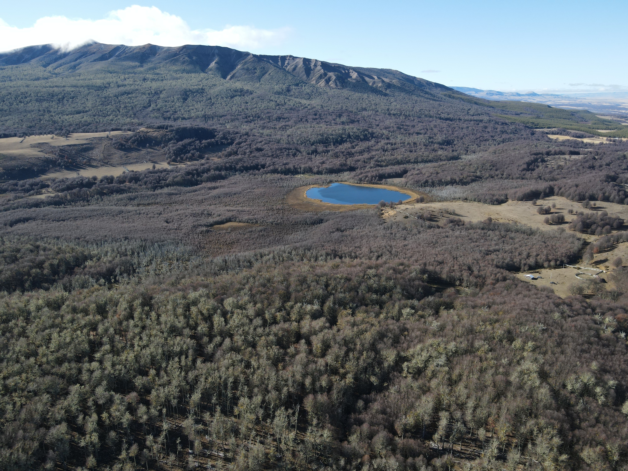 Coyhaique | Campo de 262 ha Cerro Galera