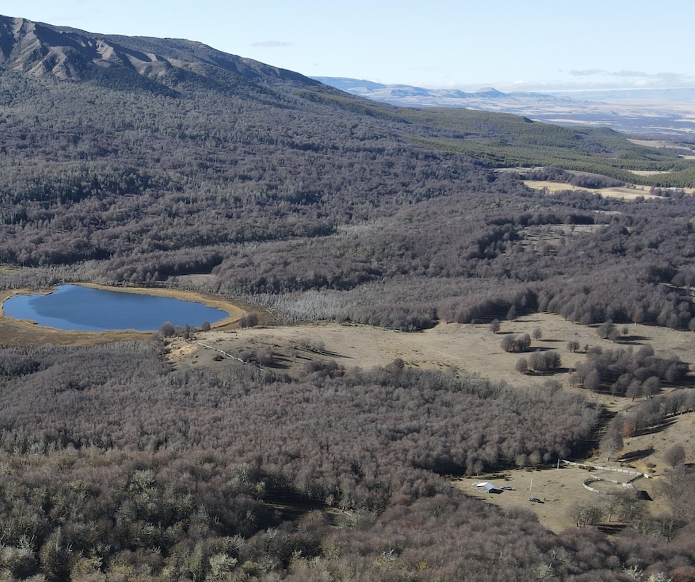 Coyhaique | Campo de 262 ha Cerro Galera