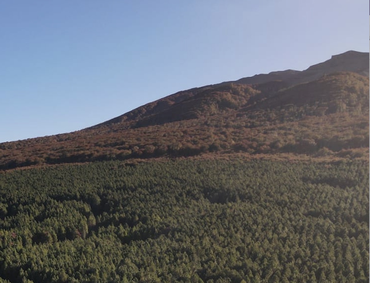 Coyhaique | Campo de 262 ha Cerro Galera