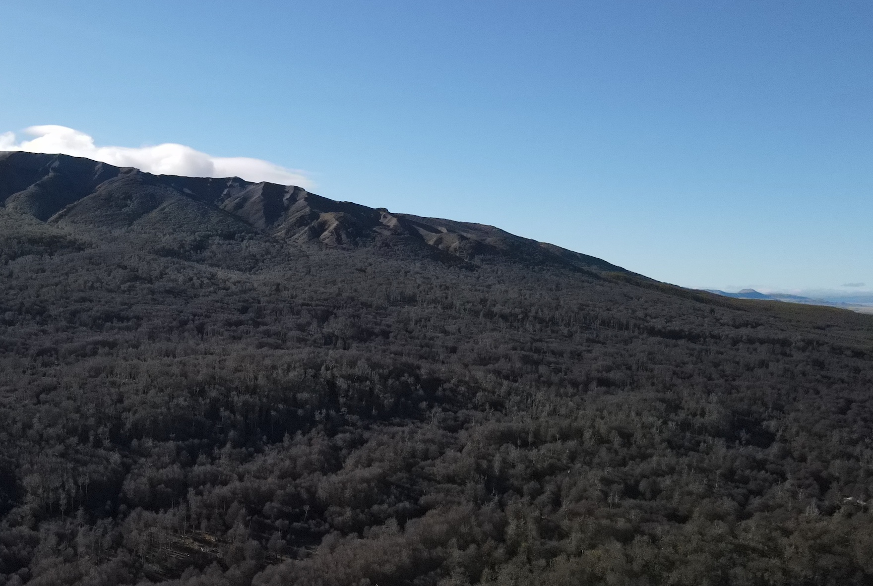 Coyhaique | Campo de 262 ha Cerro Galera