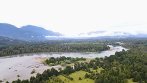 La Junta | Campo 434 ha