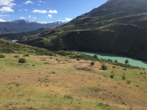 Cochrane | Campo de 121 ha, 900 metros Orilla de Río Baker